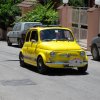 Burgio_2009 (532)